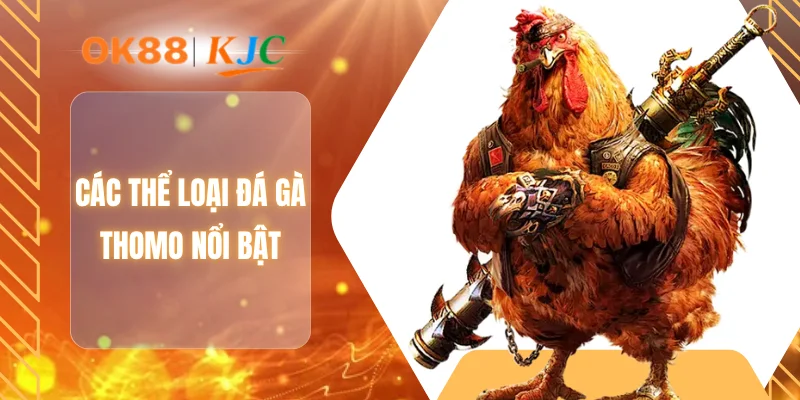 Các thể loại đá gà Thomo nổi bật