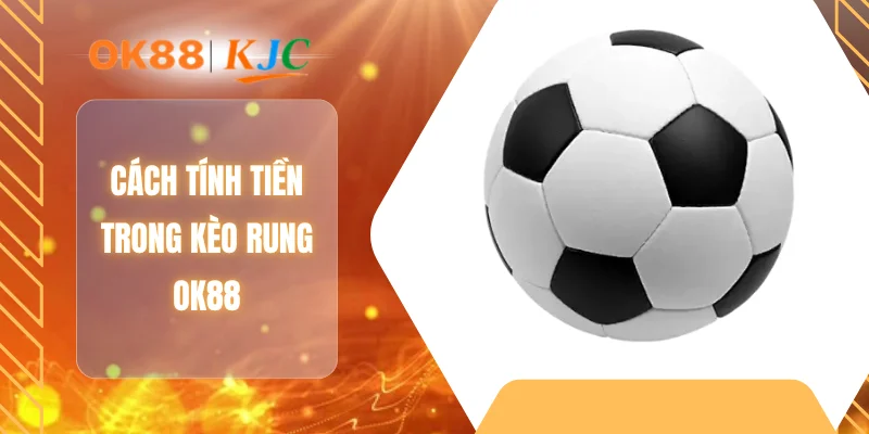 Cách tính tiền trong kèo rung OK88