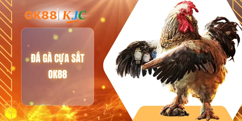 ĐÁ GÀ CỰA SẮT OK88