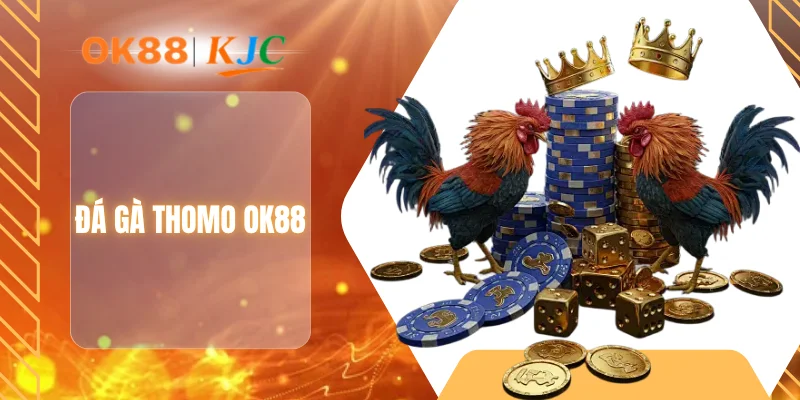 ĐÁ GÀ THOMO OK88