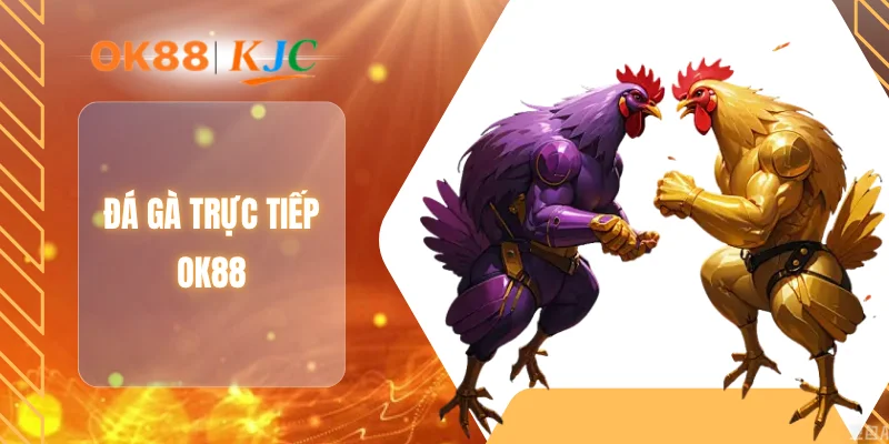 ĐÁ GÀ TRỰC TIẾP OK88
