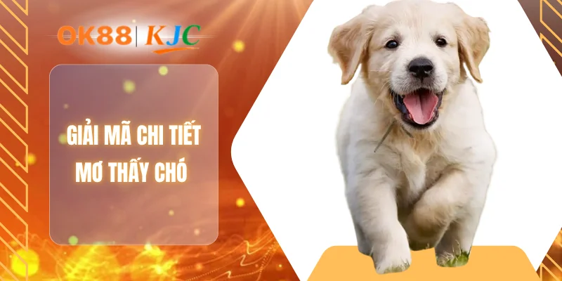 Giải mã chi tiết mơ thấy chó
