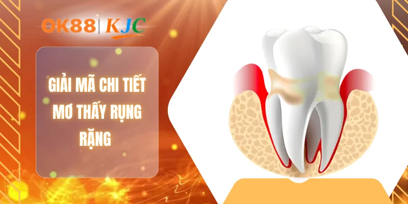 Giải mã chi tiết mơ thấy rụng rặng