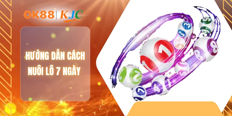 Hướng dẫn cách nuôi lô 7 ngày