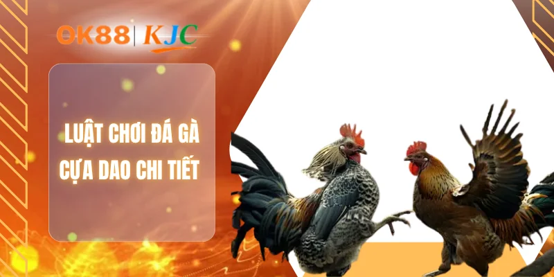 Luật chơi đá gà cựa dao chi tiết