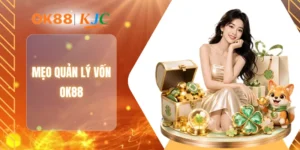 MẸO QUẢN LÝ VỐN OK88