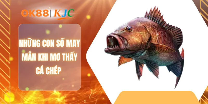 Những con số may mắn khi mơ thấy cá chép