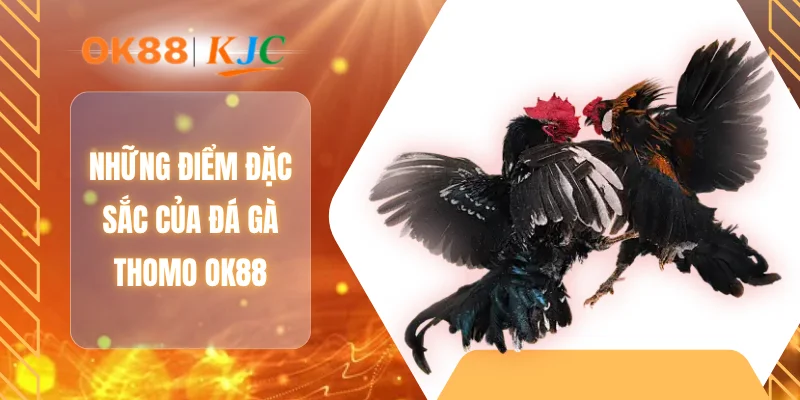 Những điểm đặc sắc của đá gà Thomo OK88