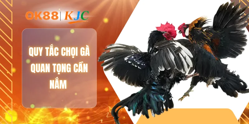 Quy tắc chọi gà quan trọng cần nắm