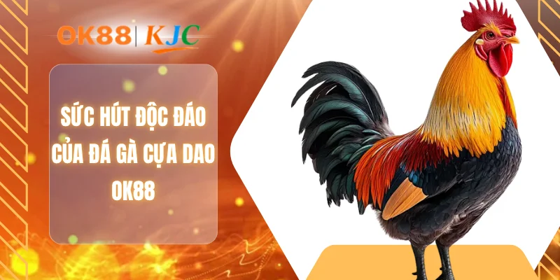 Sức hút độc đáo của đá gà cựa dao OK88