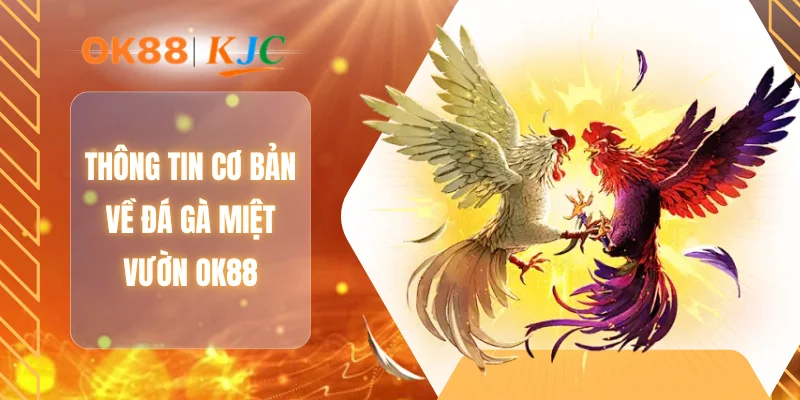 Thông tin cơ bản về đá gà miệt vườn OK88