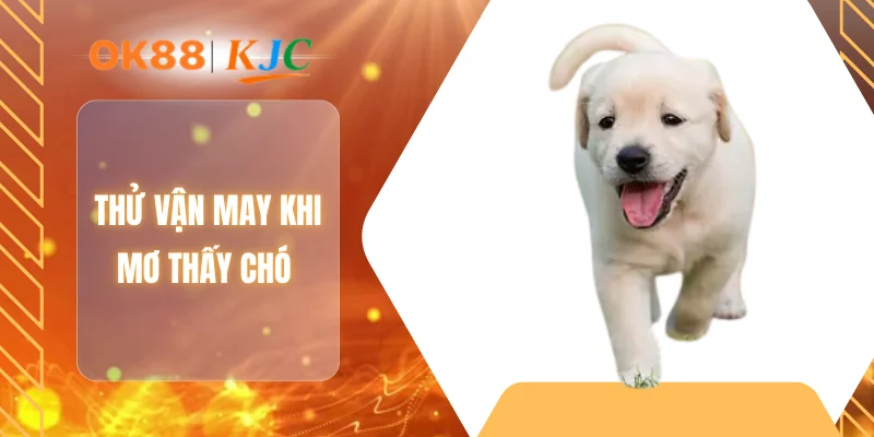 Thử vận may khi mơ thấy chó