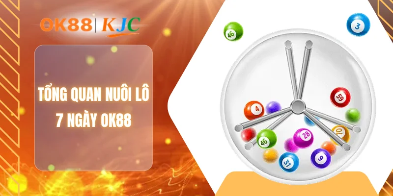 Tổng quan nuôi lô 7 ngày OK88