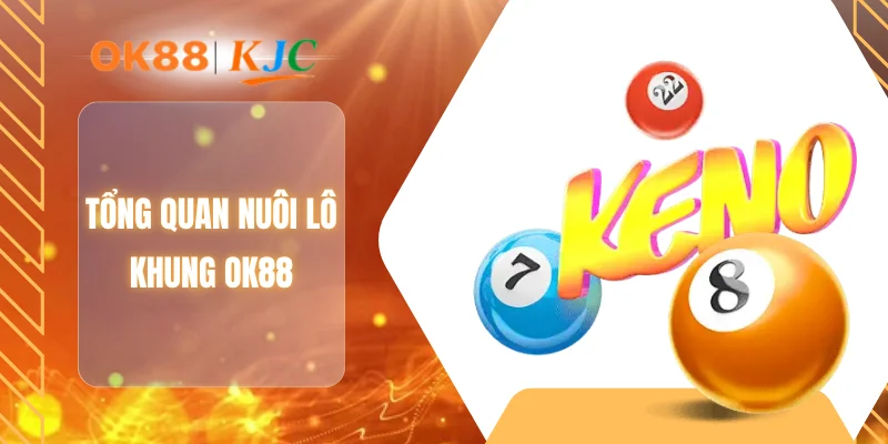 Tổng quan nuôi lô khung OK88