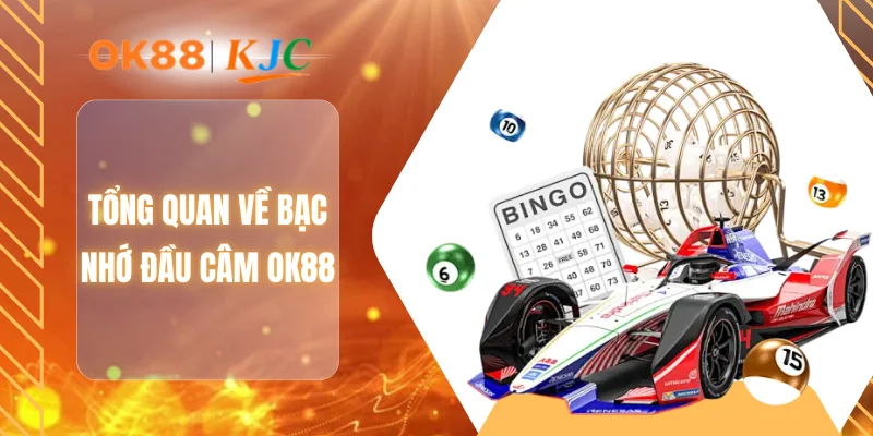 Tổng quan về bạc nhớ đầu câm OK88