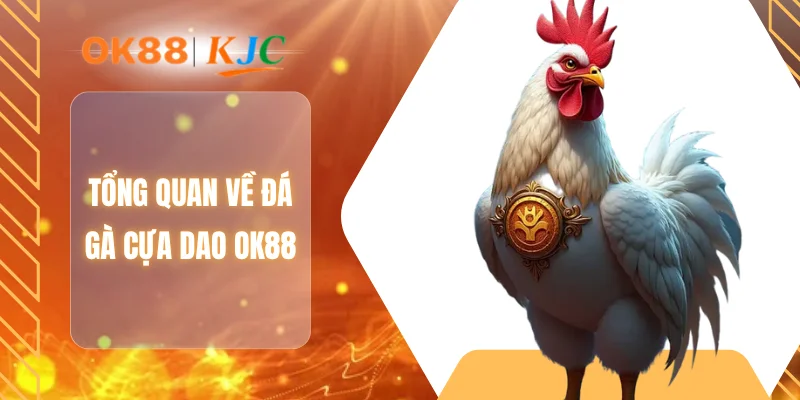 Tổng quan về đá gà cựa dao OK88