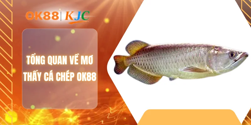 Tổng quan về mơ thấy cá chép OK88