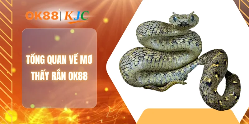 Tổng quan về mơ thấy rắn OK88