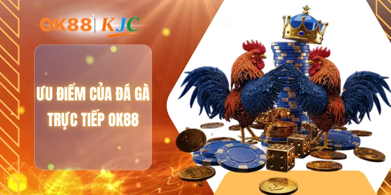 Ưu điểm của đá gà trực tiếp OK88