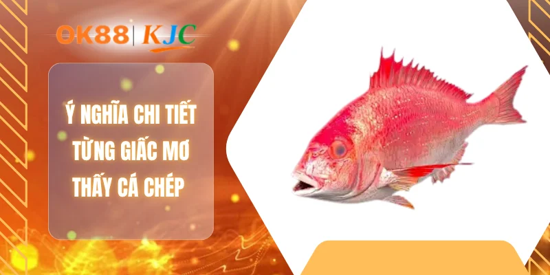 Ý nghĩa chi tiết từng giấc mơ thấy cá chép